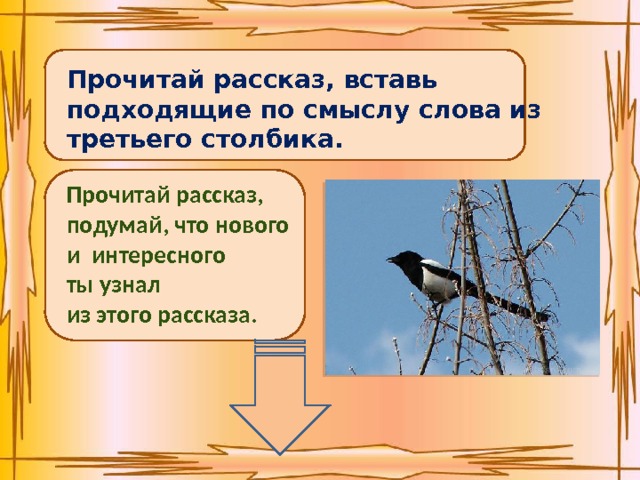 Хитрая сорока поймала мороку что значит. Смотреть фото Хитрая сорока поймала мороку что значит. Смотреть картинку Хитрая сорока поймала мороку что значит. Картинка про Хитрая сорока поймала мороку что значит. Фото Хитрая сорока поймала мороку что значит