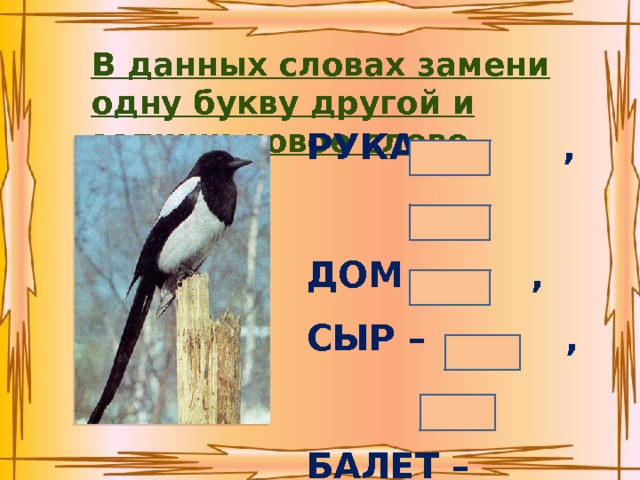 Хитрая сорока поймала мороку что значит. Смотреть фото Хитрая сорока поймала мороку что значит. Смотреть картинку Хитрая сорока поймала мороку что значит. Картинка про Хитрая сорока поймала мороку что значит. Фото Хитрая сорока поймала мороку что значит