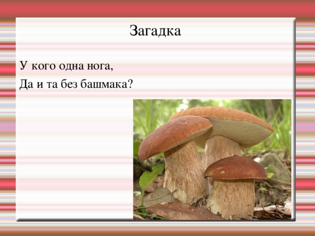 Загадка У кого одна нога, Да и та без башмака? 