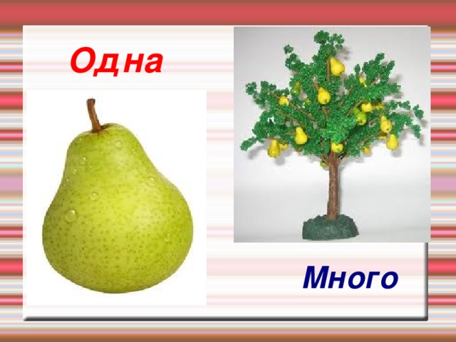 Одна Много 