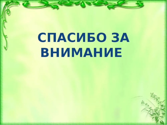 СПАСИБО ЗА ВНИМАНИЕ 