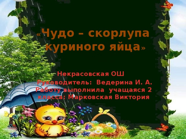 « Чудо – скорлупа  куриного яйца »  Некрасовская ОШ Руководитель: Ведерина И. А.  Работу выполнила учащаяся 2 класса: Марковская Виктория 