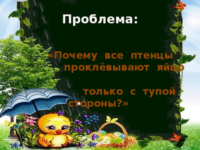 Проблема:   «Почему все птенцы  проклёвывают яйцо  только с тупой стороны?»  