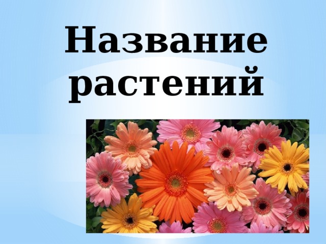 Название растений