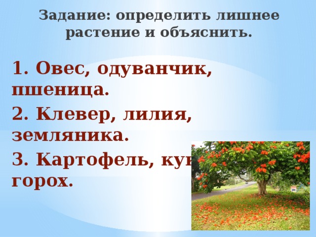 Задание: определить лишнее растение и объяснить. 1. Овес, одуванчик, пшеница. 2. Клевер, лилия, земляника. 3. Картофель, кукуруза, горох.