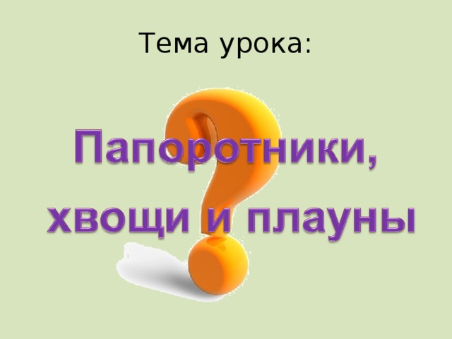 Тема урока: