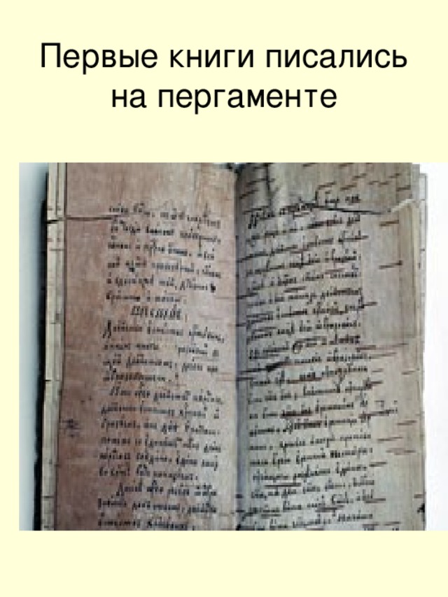 Первые книги писались на пергаменте  
