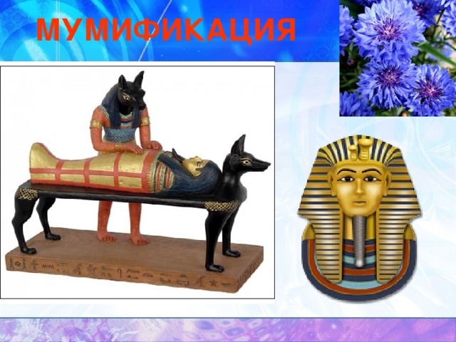 МУМИФИКАЦИЯ 