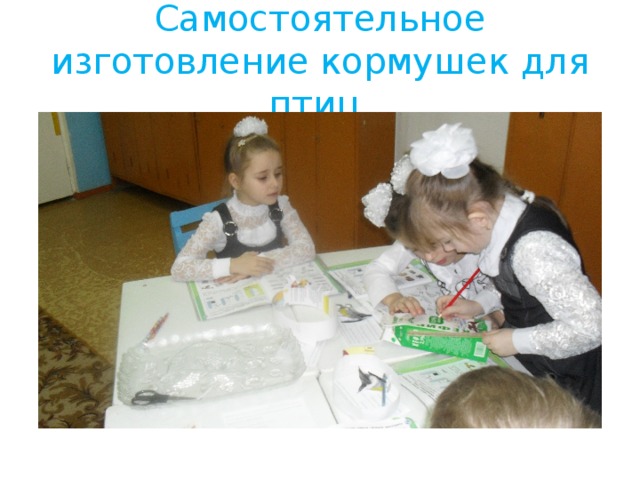 Самостоятельное изготовление кормушек для птиц. 
