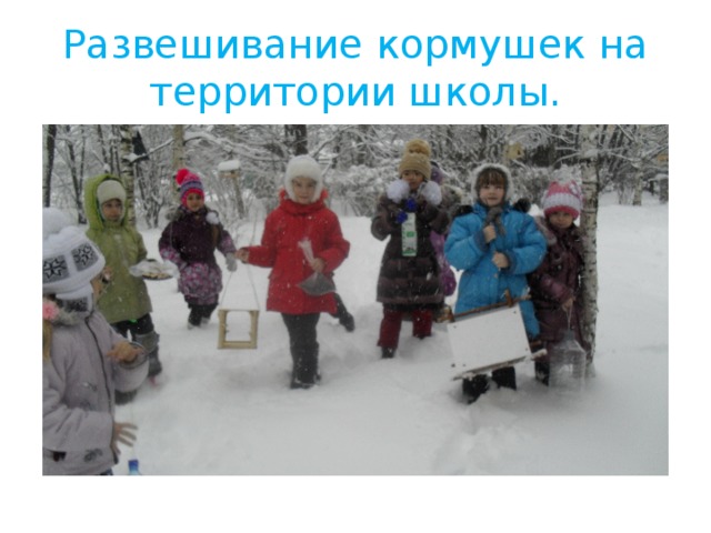 Развешивание кормушек на территории школы. 