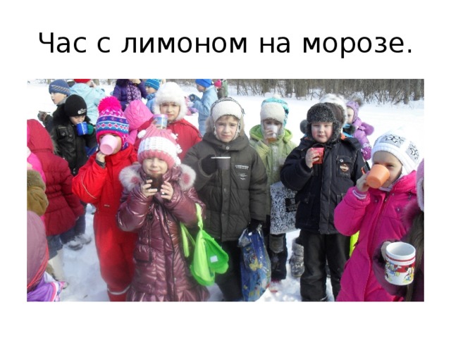 Час с лимоном на морозе. 