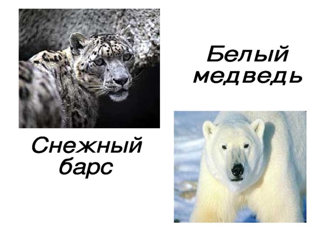 Белая книга животных и растений