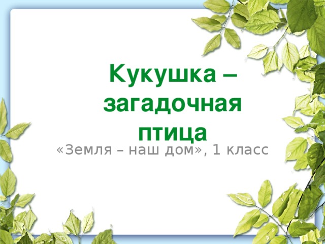 Кукушка – загадочная птица «Земля – наш дом», 1 класс