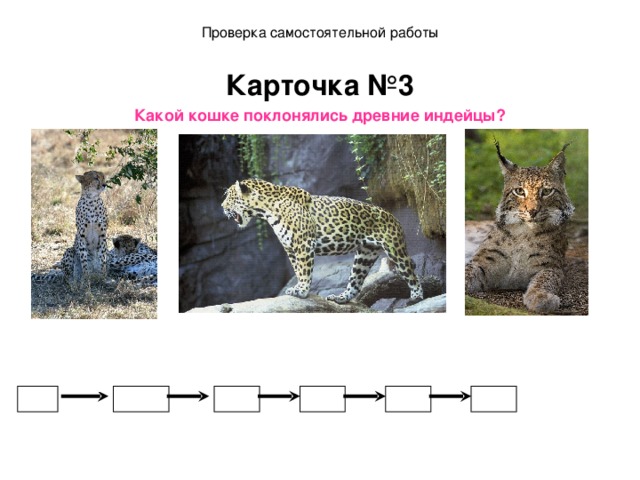 Проверка самостоятельной работы Карточка №3 Какой кошке поклонялись древние индейцы?   Ягуар - 63  Рысь - 67 Гепард - 62 * 4 -0,3 -3,4 *10 +0,9 8,8 2,2 9,7 6,3 2,5 =63 Ответ: Ягуар  