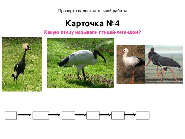 Проверка самостоятельной работы Карточка №4 Какую птицу называли птицей-легендой?   Священный ибис - 54 Венценосный журавль - 50  Белый и черный аисты-55 * 3 -9,8 -3,8 *10 +4,2 11,1 15,3 3,7 5,5 =55 7,5 Ответ: Белый и черный аисты  