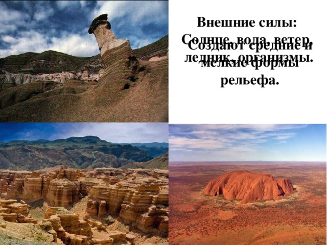Внешние силы: Солнце, вода, ветер, ледник, организмы. Создают средние и мелкие формы рельефа. 