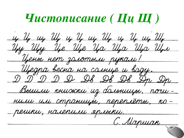 Чистописание ( Цц Щ ) 