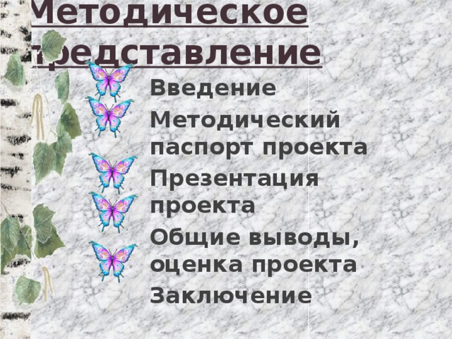 Методическое представление   Введение Методический паспорт проекта Презентация проекта Общие выводы, оценка проекта Заключение 