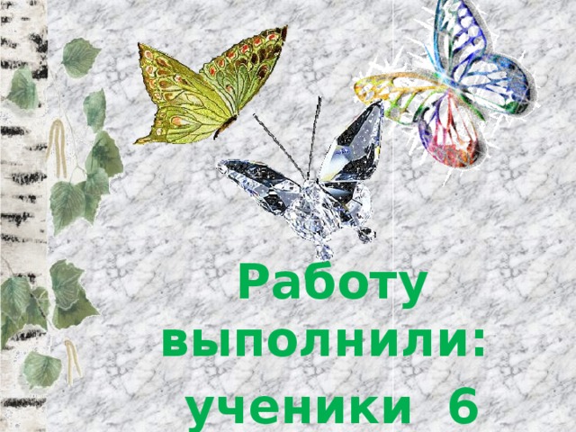 Работу выполнили: ученики 6 «Б» класса 