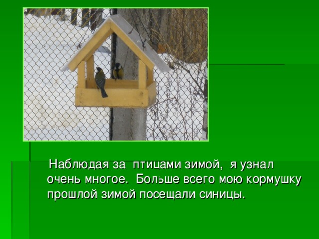  Наблюдая за птицами зимой, я узнал очень многое. Больше всего мою кормушку прошлой зимой посещали синицы. 