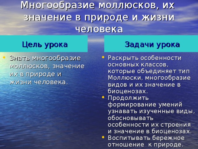 Многообразие моллюсков, их значение в природе и жизни человека Цель урока Задачи урока Раскрыть особенности основных классов, которые объединяет тип Моллюски, многообразие видов и их значение в биоценозах. Продолжить формирование умений узнавать изученные виды, обосновывать особенности их строения и значение в биоценозах. Воспитывать бережное отношение к природе. Знать многообразие моллюсков, значение их в природе и жизни человека.   