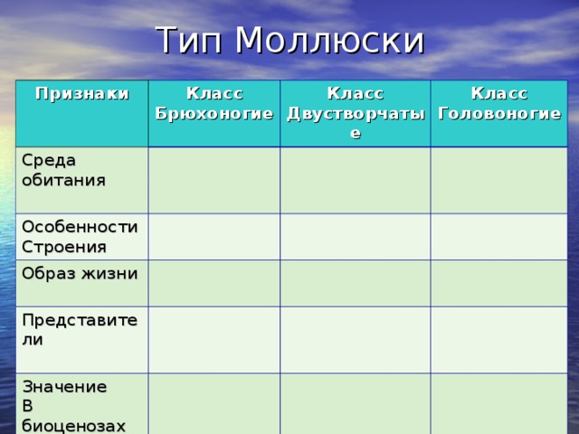 Таблица двустворчатых моллюсков