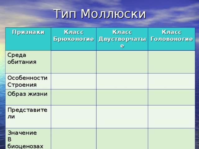 Признаки Класс Брюхоногие Среда обитания Класс Двустворчатые Особенности Строения Класс Головоногие Образ жизни Представители Значение В биоценозах 