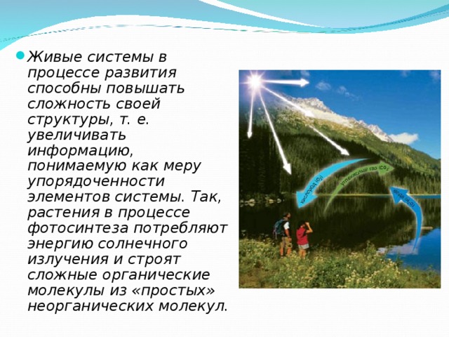 Живые системы в процессе развития способны повышать сложность своей структуры, т. е. увеличивать информацию, понимаемую как меру упорядоченности элементов системы. Так, растения в процессе фотосинтеза потребляют энергию солнечного излучения и строят сложные органические молекулы из «простых» неорганических молекул.  