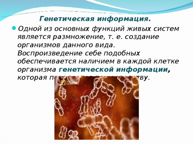Генетическая информация. Одной из основных функций живых систем является размножение, т. е. создание организмов данного вида. Воспроизведение себе подобных обеспечивается наличием в каждой клетке организма  генетической информации , которая передается по наследству.  