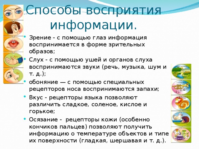 Способы восприятия информации. Зрение - с помощью глаз информация воспринимается в форме зрительных образов; Слух - с помощью ушей и органов слуха воспринимаются звуки (речь, музыка, шум и т. д.); обоняние — с помощью специальных рецепторов носа воспринимаются запахи; Вкус - рецепторы языка позволяют различить сладкое, соленое, кислое и горькое; Осязание - рецепторы кожи (особенно кончиков пальцев) позволяют получить информацию о температуре объектов и типе их поверхности (гладкая, шершавая и т. д.).  