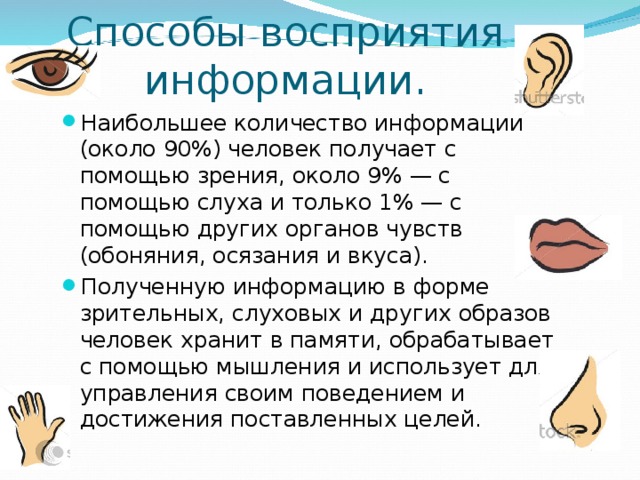 Способы восприятия информации. Наибольшее количество информации (около 90%) человек получает с помощью зрения, около 9% — с помощью слуха и только 1% — с помощью других органов чувств (обоняния, осязания и вкуса). Полученную информацию в форме зрительных, слуховых и других образов человек хранит в памяти, обрабатывает с помощью мышления и использует для управления своим поведением и достижения поставленных целей.  