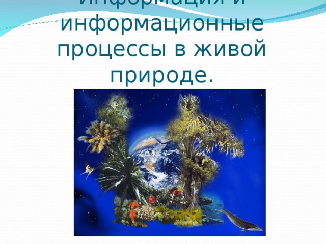 Информация и информационные  процессы в живой природе. 