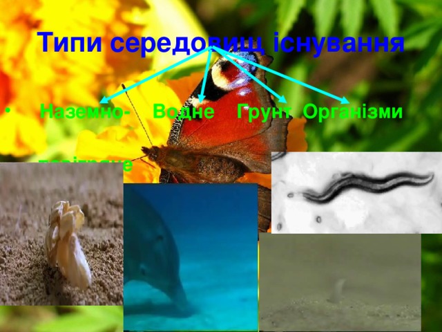 Типи середовищ існування  Наземно- Водне Грунт Організми  повітряне інших істот  