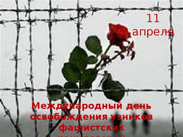 11 апреля Международный день освобождения узников фашистских концлагерей 