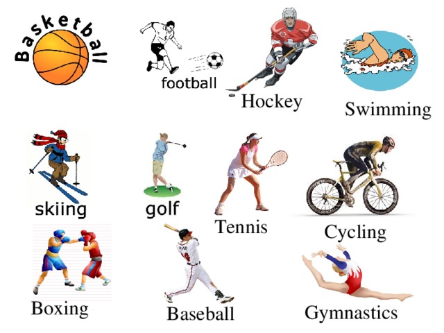 Baseball table tennis hockey badminton