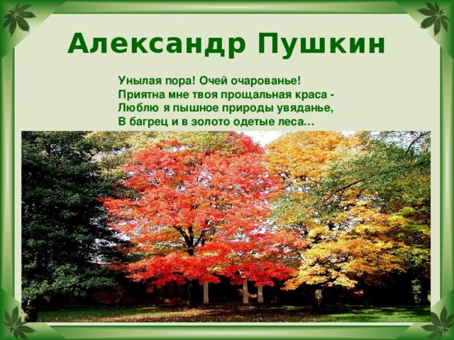 Александр Пушкин Унылая пора! Очей очарованье!  Приятна мне твоя прощальная краса -  Люблю я пышное природы увяданье,  В багрец и в золото одетые леса… 