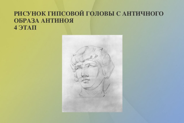 Рисунок гипсового слепка античной головы
