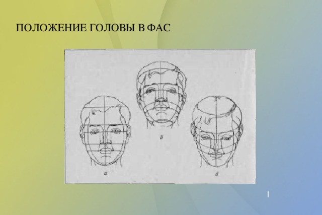Рисунок гипсовой головы карандашом для поступления в вуз
