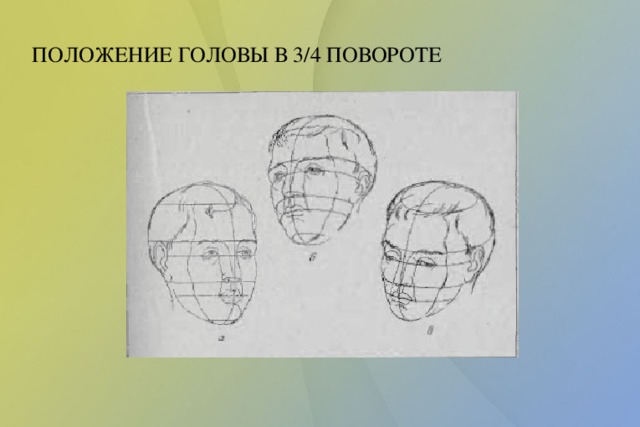 Последовательность работы над рисунком головы человека