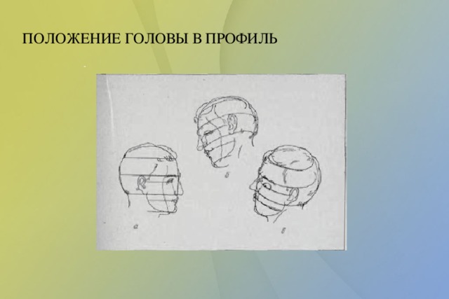 Рисунок гипсового слепка античной головы