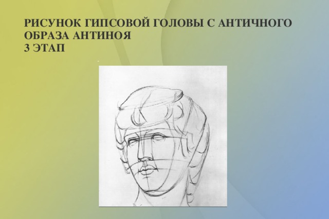 Конструктивный рисунок головы человека