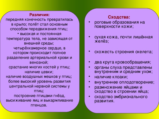 Ответы Mail.ru: Помогите биология