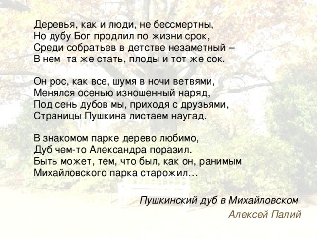  Деревья, как и люди, не бессмертны,  Но дубу Бог продлил по жизни срок,   Среди собратьев в детстве незаметный –   В нем  та же стать, плоды и тот же сок.   Он рос, как все, шумя в ночи ветвями,   Менялся осенью изношенный наряд,   Под сень дубов мы, приходя с друзьями,   Страницы Пушкина листаем наугад.   В знакомом парке дерево любимо,  Дуб чем-то Александра поразил.  Быть может, тем, что был, как он, ранимым  Михайловского парка старожил… Пушкинский дуб в Михайловском Алексей Палий 