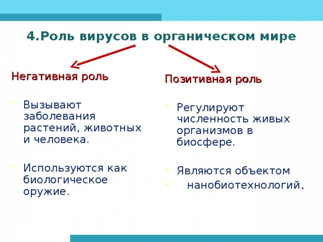 4.Роль вирусов в органическом мире Негативная роль Вызывают заболевания растений, животных и человека.  Используются как биологическое оружие. Позитивная роль Регулируют численность живых организмов в биосфере.  Являются объектом  нанобиотехнологий . 