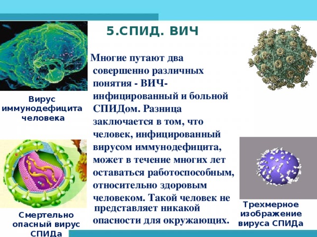 5.СПИД. ВИЧ    Многие путают два  совершенно различных  понятия - ВИЧ-  инфицированный и больной  СПИДом. Разница  заключается в том, что  человек, инфицированный  вирусом иммунодефицита,  может в течение многих лет  оставаться работоспособным,  относительно здоровым  человеком. Такой человек не представляет никакой  опасности для окружающих.  Вирус иммунодефицита  человека Трехмерное изображение вируса СПИДа Смертельно опасный вирус СПИДа 
