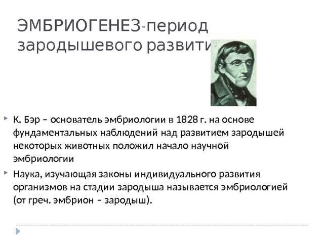 ЭМБРИОГЕНЕЗ-период зародышевого развития К. Бэр – основатель эмбриологии в 1828 г. на основе фундаментальных наблюдений над развитием зародышей некоторых животных положил начало научной эмбриологии Наука, изучающая законы индивидуального развития организмов на стадии зародыша называется эмбриологией (от греч. эмбрион – зародыш). 