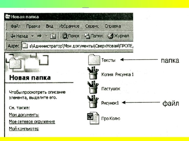 Папка 