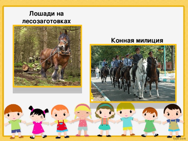 Начало проекта конец проекта лошадь