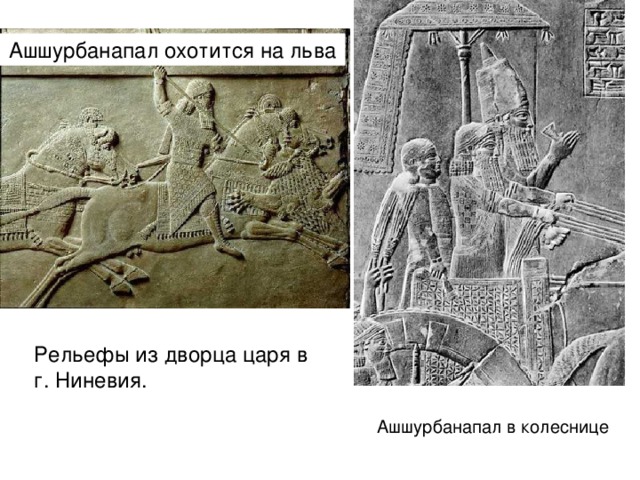 Ашшурбанапал охотится на льва Рельефы из дворца царя в г. Ниневия. Ашшурбанапал в колеснице 