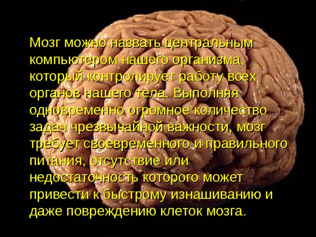 Мозг можно назвать центральным компьютером нашего организма, который контролирует работу всех органов нашего тела. Выполняя одновременно огромное количество задач чрезвычайной важности, мозг требует своевременного и правильного питания, отсутствие или недостаточность которого может привести к быстрому изнашиванию и даже повреждению клеток мозга. 